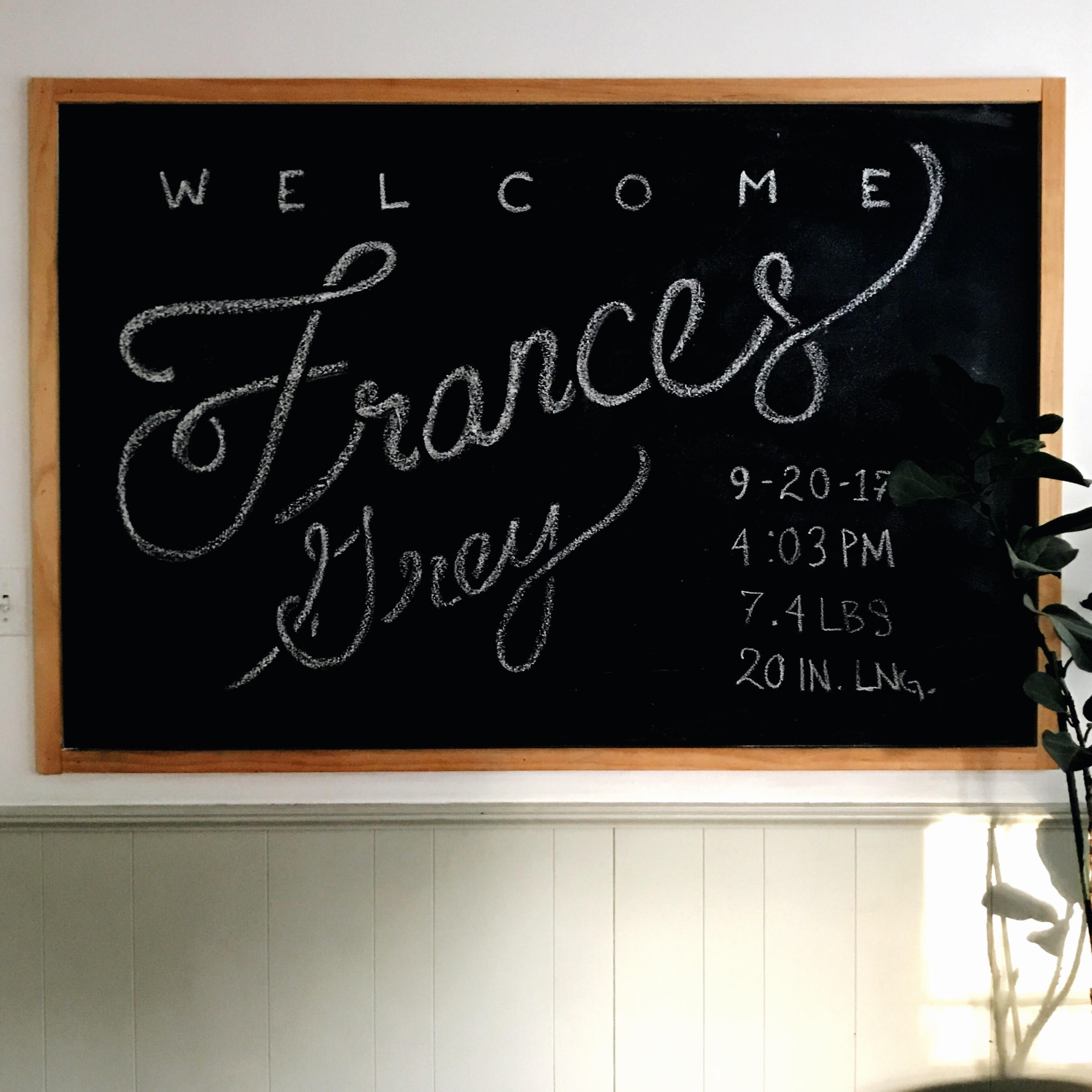 Processed with VSCO with a6 preset