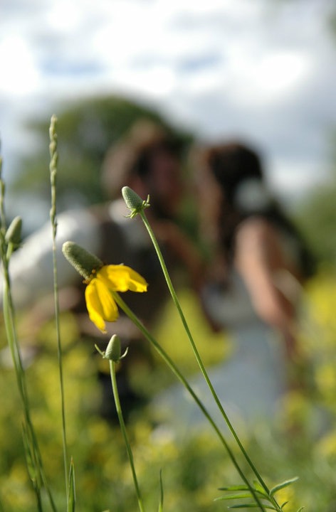 2DE8A4C9-4FA7-45F9-9F92-D34B3EB159CA