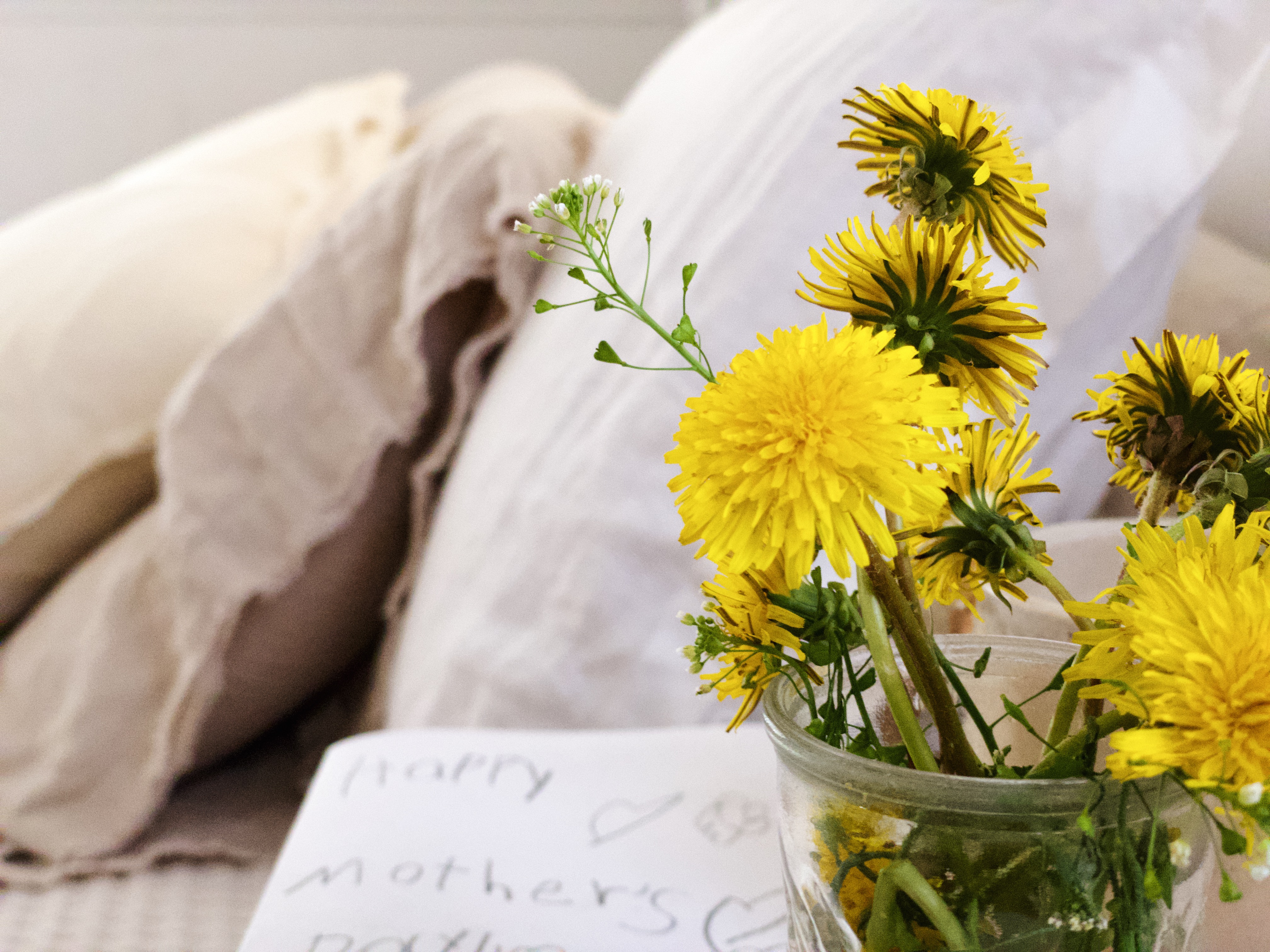 Processed with VSCO with a6 preset