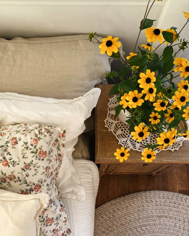 Processed with VSCO with a6 preset